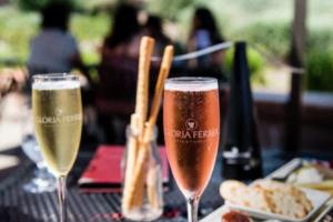 2026年保险“开门红”观察:数据向好,一线销售感受分化