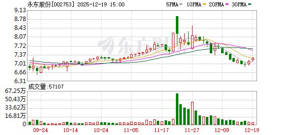 永东股份：调整“永东转2”转股价格