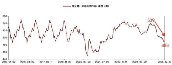 鸡蛋2608合约暴涨后的思考！