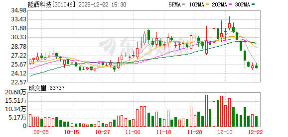 能辉科技：截至2025年11月28日公司股东总户数为12451户