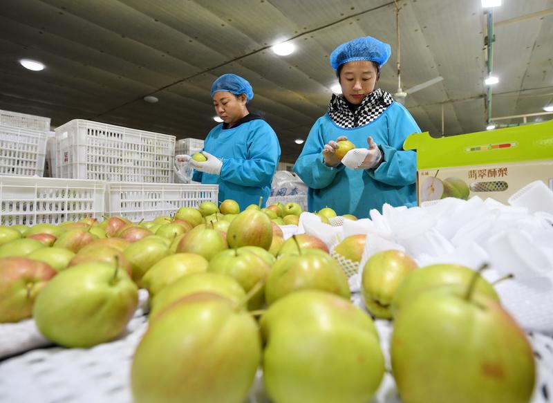 人民币创14个月来新高，出口商“肉痛”一到账就结汇