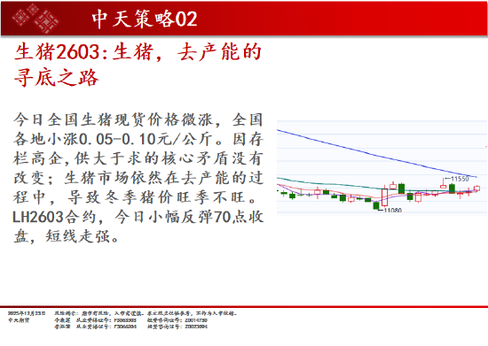 中天期货:棉花稳步上行 螺纹小调整