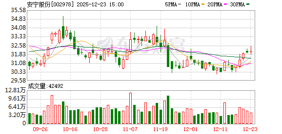 安宁股份：公司将于2026年1月13日召开2026年第一次临时股东会