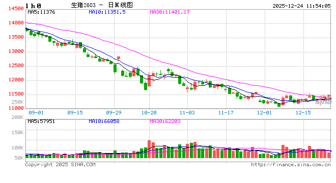 高瞻远“猪”:2025年猪价震荡下滑 2026年能否有起色?