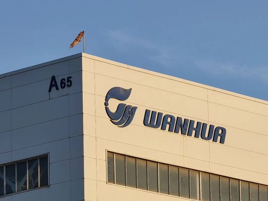 廖增太:万华这头“大象”还在跳舞