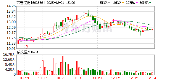 东宏股份：2026年1月9日召开2026年第一次临时股东会