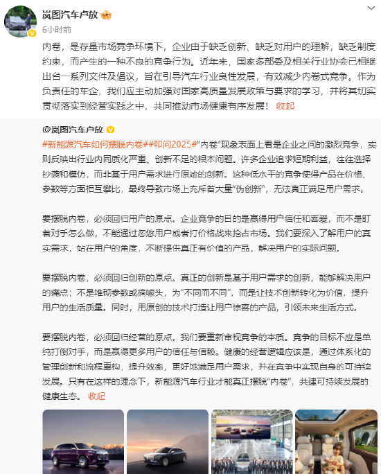 岚图卢放谈新能源汽车内卷:企业缺乏创新和约束产生的不良竞争行为