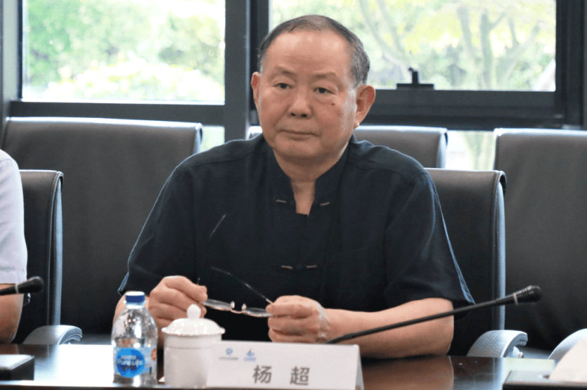 六大问题触目惊心 中国人寿集团原总裁杨超退休14年后被开除党籍