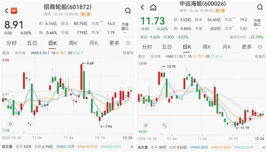 运价罕见单日暴跌20%，油轮龙头股价逆势上涨