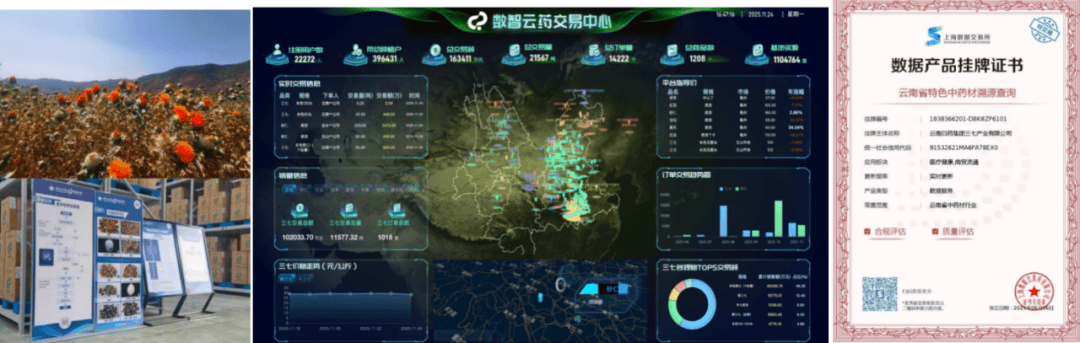 云南白药：以全链路数智化赋能百年药企新未来