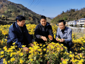 奋楫扬帆“十四五” 金融报国谱新篇――2025年中国人寿保险股份有限公司高质量发展回望