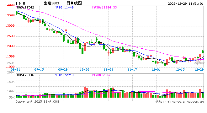 高瞻远“猪”：2025年腌腊活动演变及影响分析