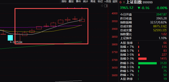 沪指，10连阳！这一板块，午后爆发