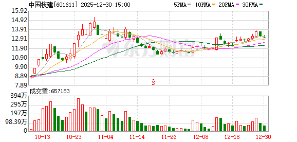 中国核建：公司深度参与中巴合作C-5核电项目工程建设