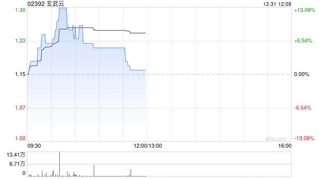 玄武云盘中涨超13% 公司此前引入汉唐明元战略投资有望扩大竞争优势