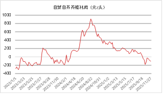 东海期货：2026年生猪投资策略报告