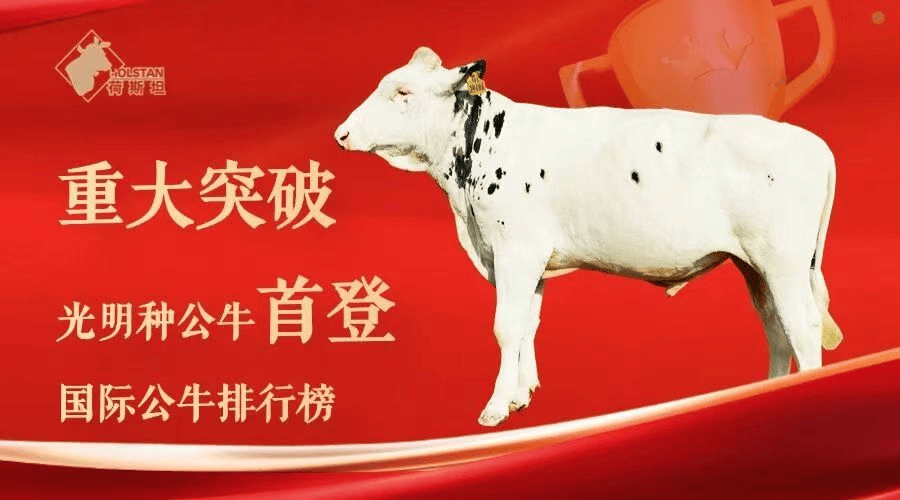 跃马迎新,一路光明,光明乳业以鲜活力量开启2026新征程