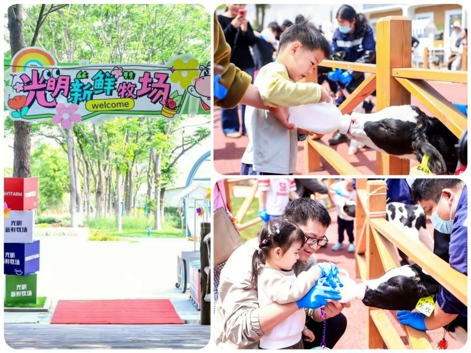 跃马迎新,一路光明,光明乳业以鲜活力量开启2026新征程