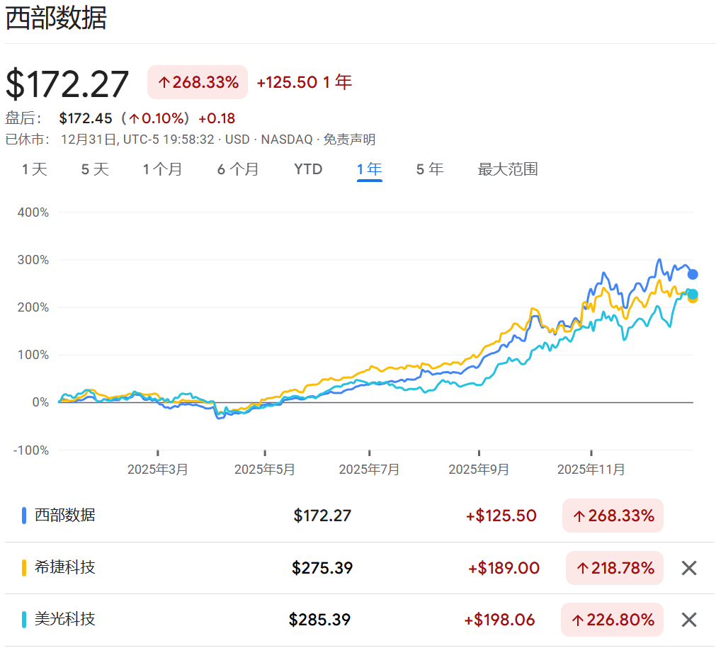 2025年美股最强Top 10，存储占了3只