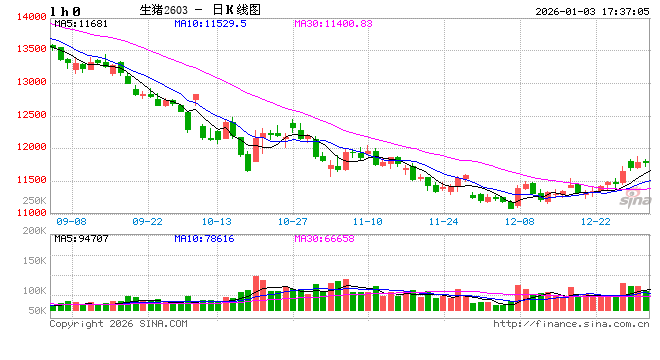 告别2025去产能周期！2026猪价将止跌回升？涨价信号来了！