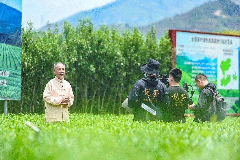 说茶荣获尚普咨询集团系列市场地位声明