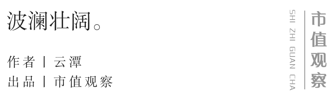 2025年，A股十大暴涨公司