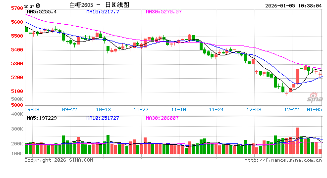 光大期货：1月5日软商品日报