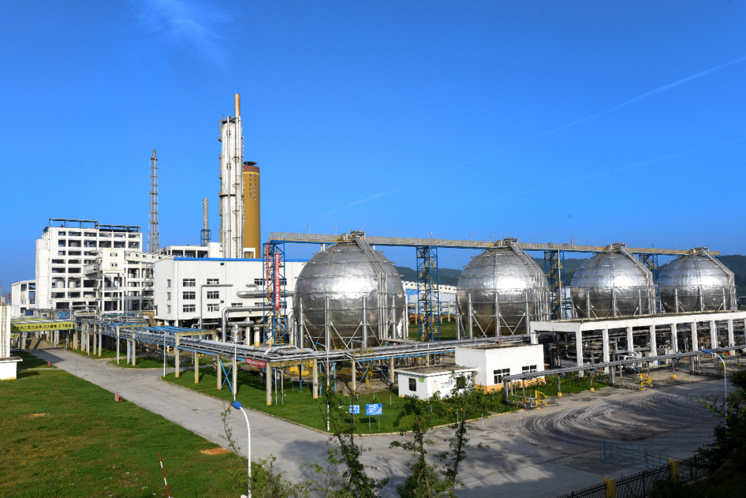 以技术革新守护绿水青山：芭田股份董事长兼总裁黄培钊荣膺贵州年度致敬人物