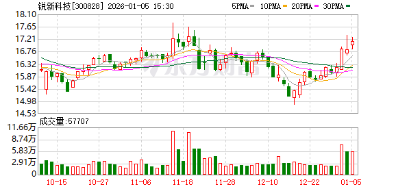 锐新科技：截至2025年12月31日股东总户数为12610户