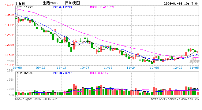 供需双增支撑12月生猪屠宰量增幅明显
