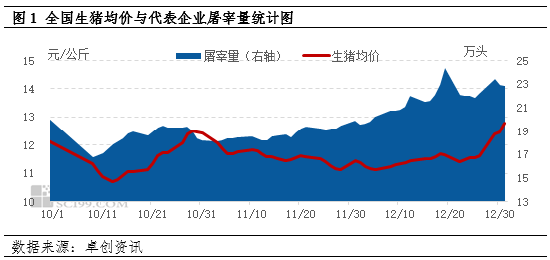 供需双增支撑12月生猪屠宰量增幅明显