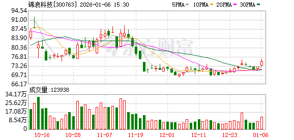 锦浪科技：公司已将储能系统整体优化作为核心战略方向