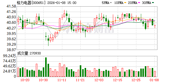 格力电器：公司稳步推进多元化战略