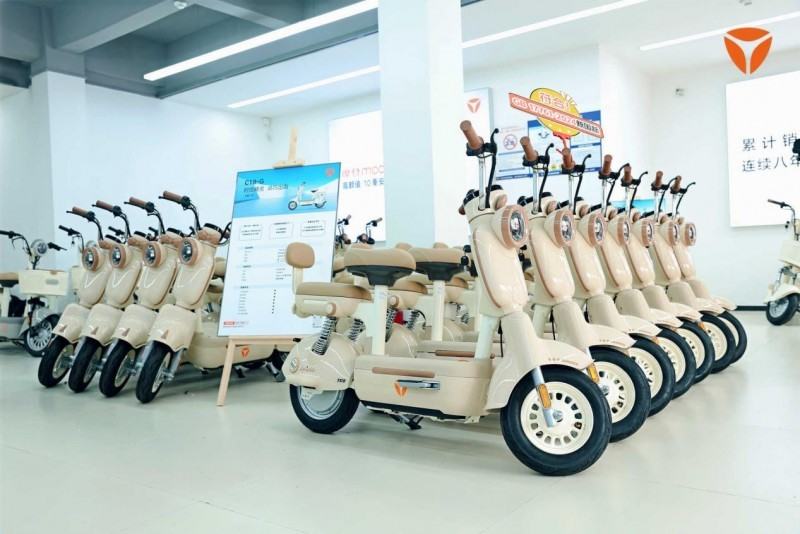 电动自行车新规满月，雅迪如何引领绿色出行新变革？