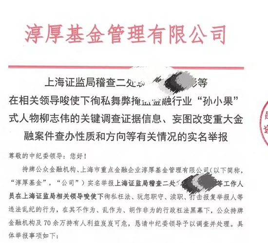 “三次对抗监管”的淳厚基金，内斗闹剧终于落幕图2