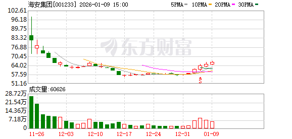 海安集团：公司调整后的募集资金主要投向三个项目
