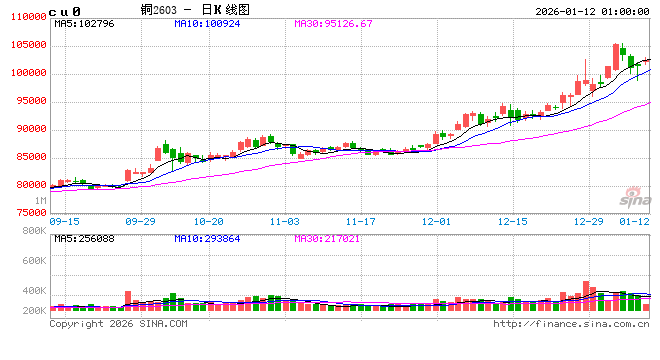 有色金属“开门红”，公募扎堆推新，机遇还是风险？图2