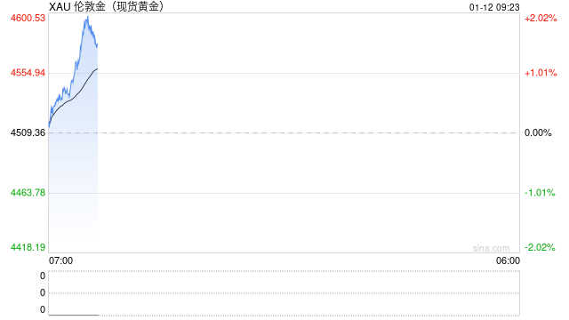 快讯：现货黄金首次站上4600美元大关，新年首月累涨280美元图2