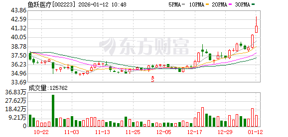 鱼跃医疗首秀CES 2026，AI拓宽健康管理边界
