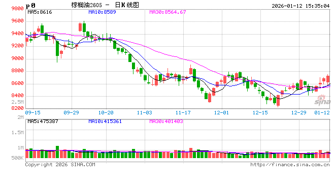 棕榈油--现实压力下暗藏潜力与新机图2