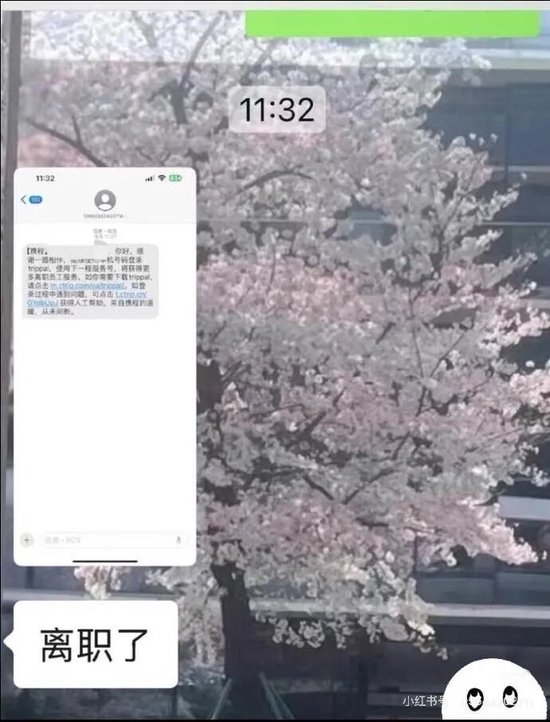 离谱！携程误发全员离职通知图1