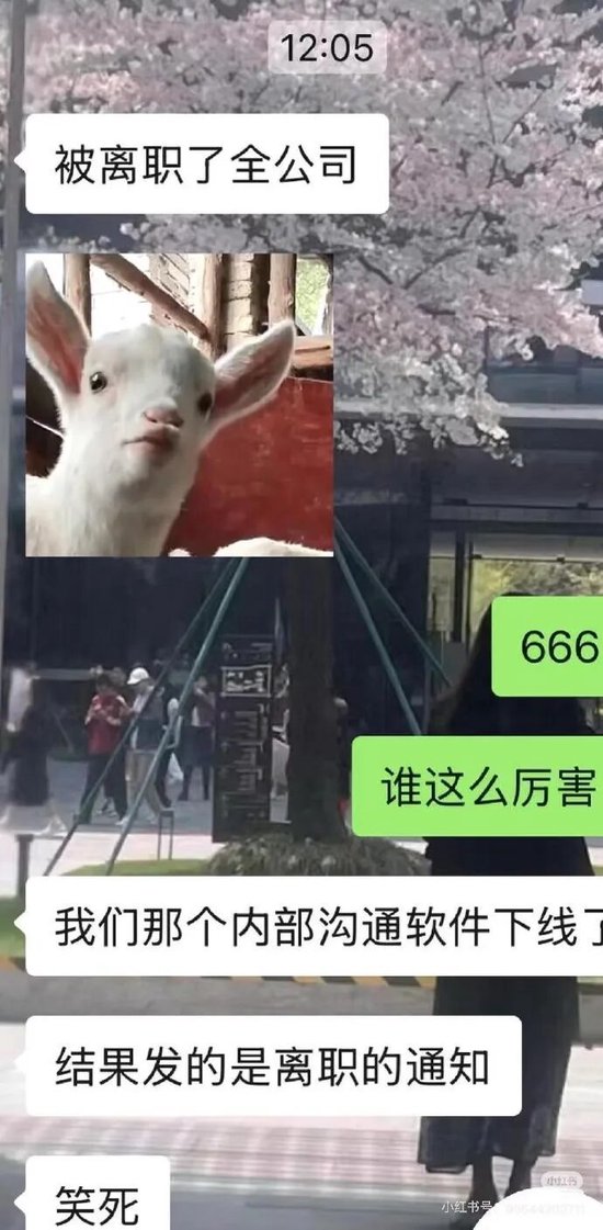 离谱！携程误发全员离职通知图2