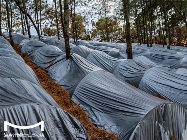 沸点计划发布“山海供应链”战略：投建十大生态基地，护航万店扩张图2