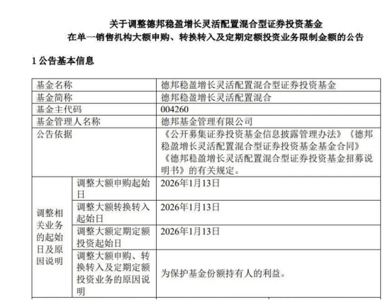 GEO概念火到基金圈，德邦稳盈增长基金触发限购，23年因老婆买基金而多做家务的雷涛收益回暖