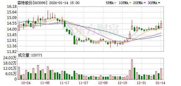 森特股份：2026年1月30日召开2026年第一次临时股东会
