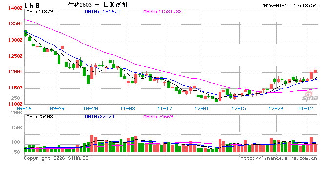 年度总结：2025年猪价震荡下滑后翘尾，2026是否曙光将至图2