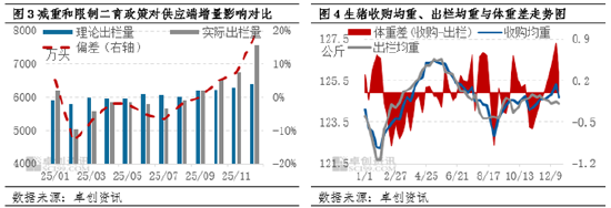 年度总结：2025年猪价震荡下滑后翘尾，2026是否曙光将至