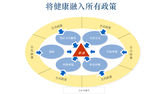 全文|北京大学国发院李玲：健康中国、智慧健康将是我国新的发展模式、新的蓝海
