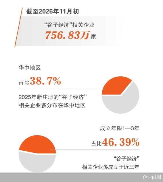 从商品到社交硬通货 次元经济重塑零售逻辑