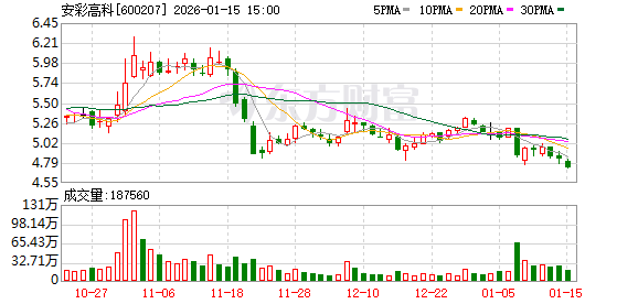 安彩高科：2026年2月3日召开2026年第一次临时股东会